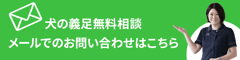 犬の義足無料相談