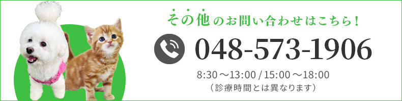 その他のお問い合わせはこちら