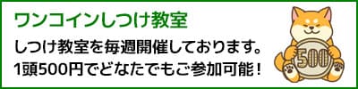 ワンコインしつけ教室