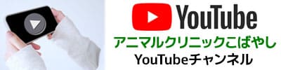 アニマルクリニックこばやしのYoutubeチャンネル