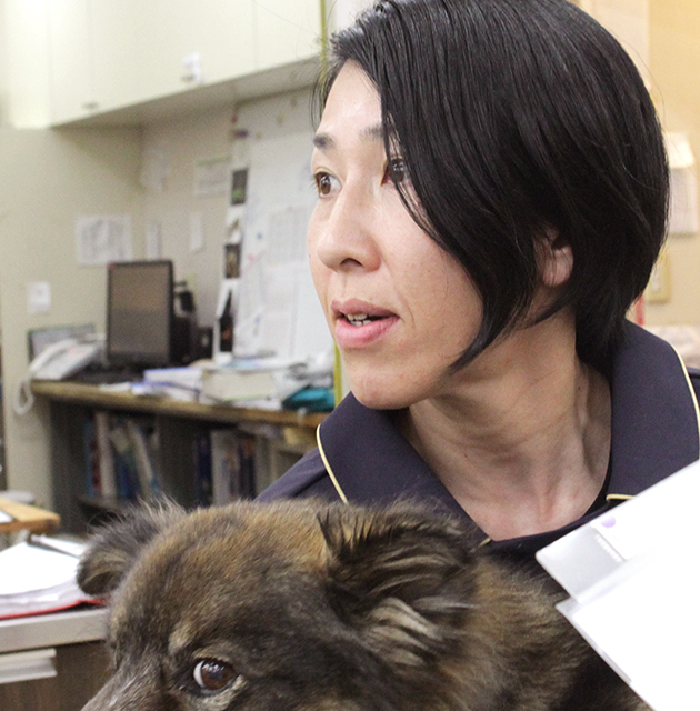 動物看護師：中澤美奈子／高等学校
