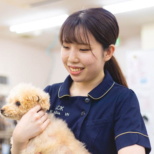 動物看護師:藤田佳那/大宮国際動物専門学校/認定動物看護師