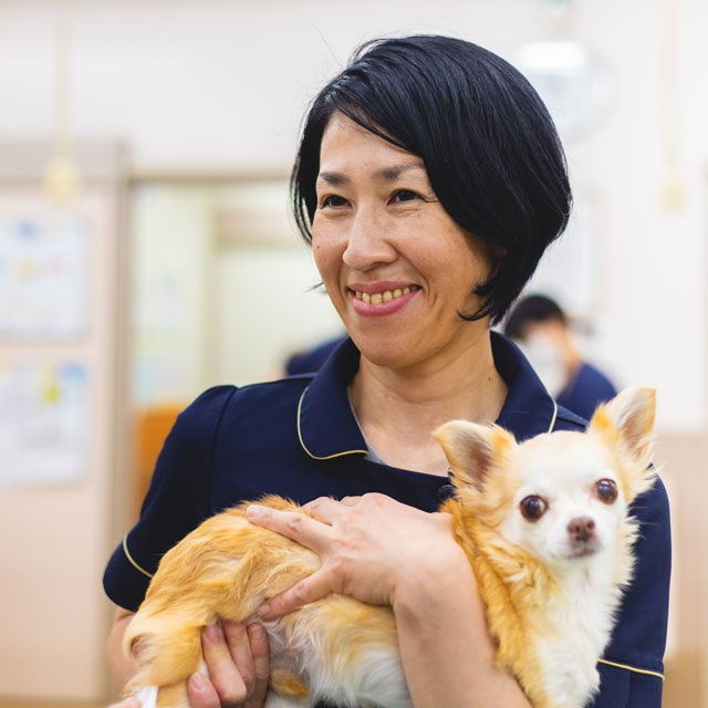 動物看護師:中澤美奈子/高等学校