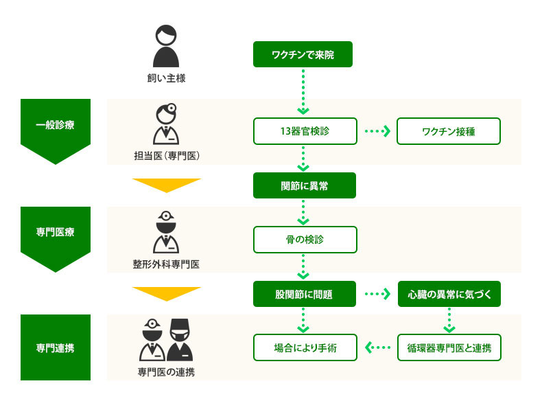 診療の流れ